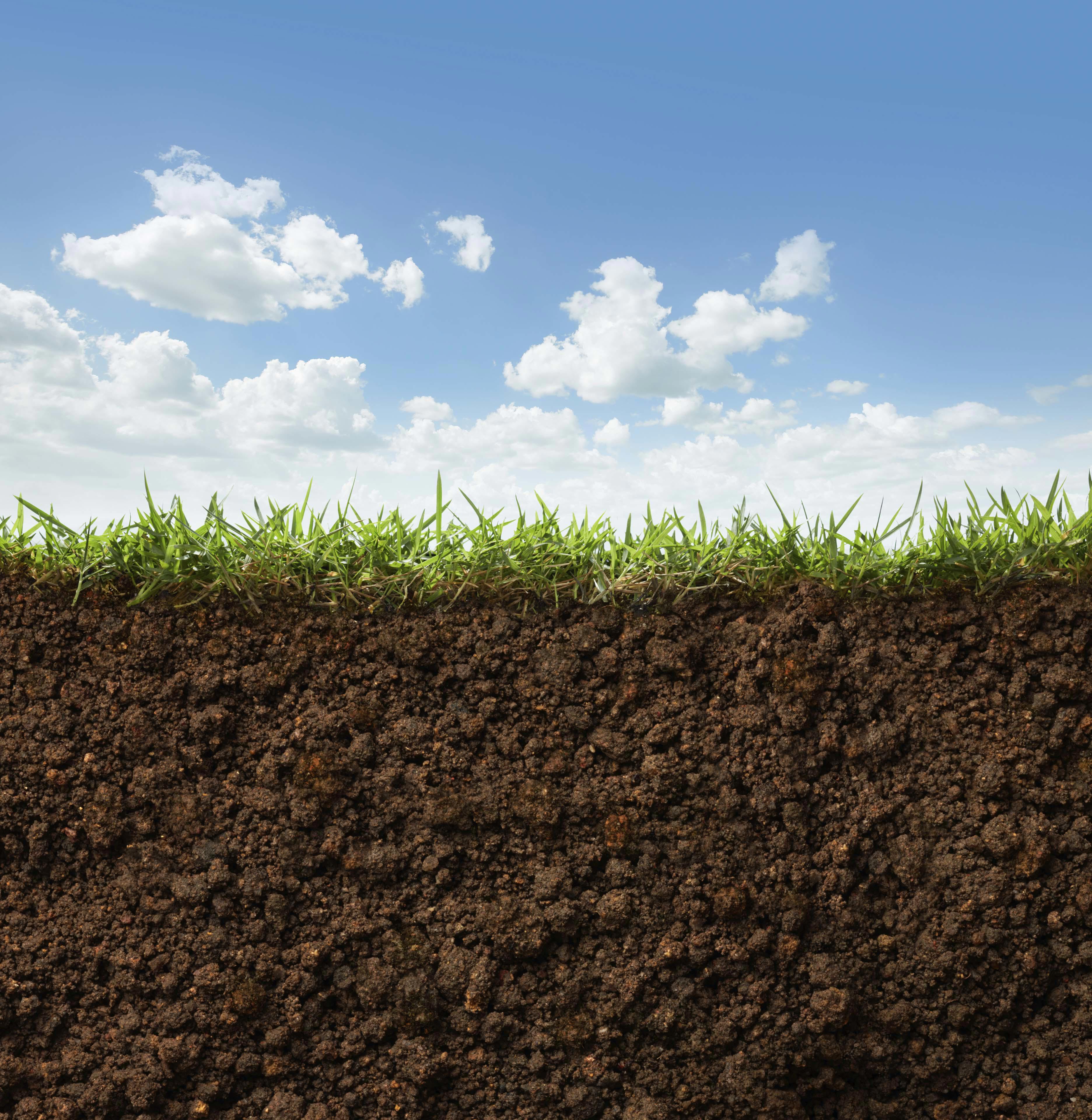 grass-and-soil