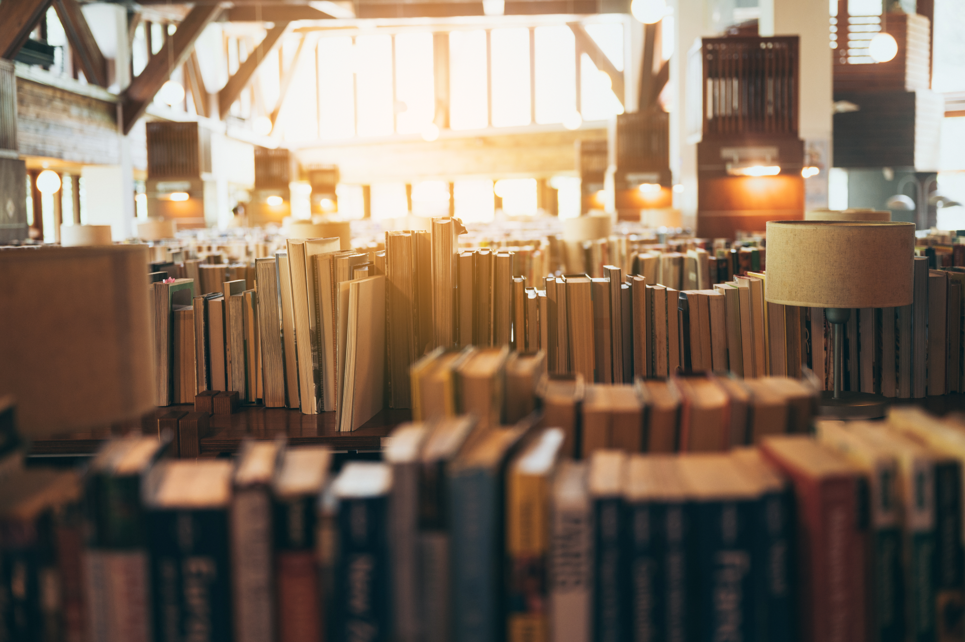 books-and-lamps-in-serene-library-setting-2026-03-24-15-21-22-utc (1)