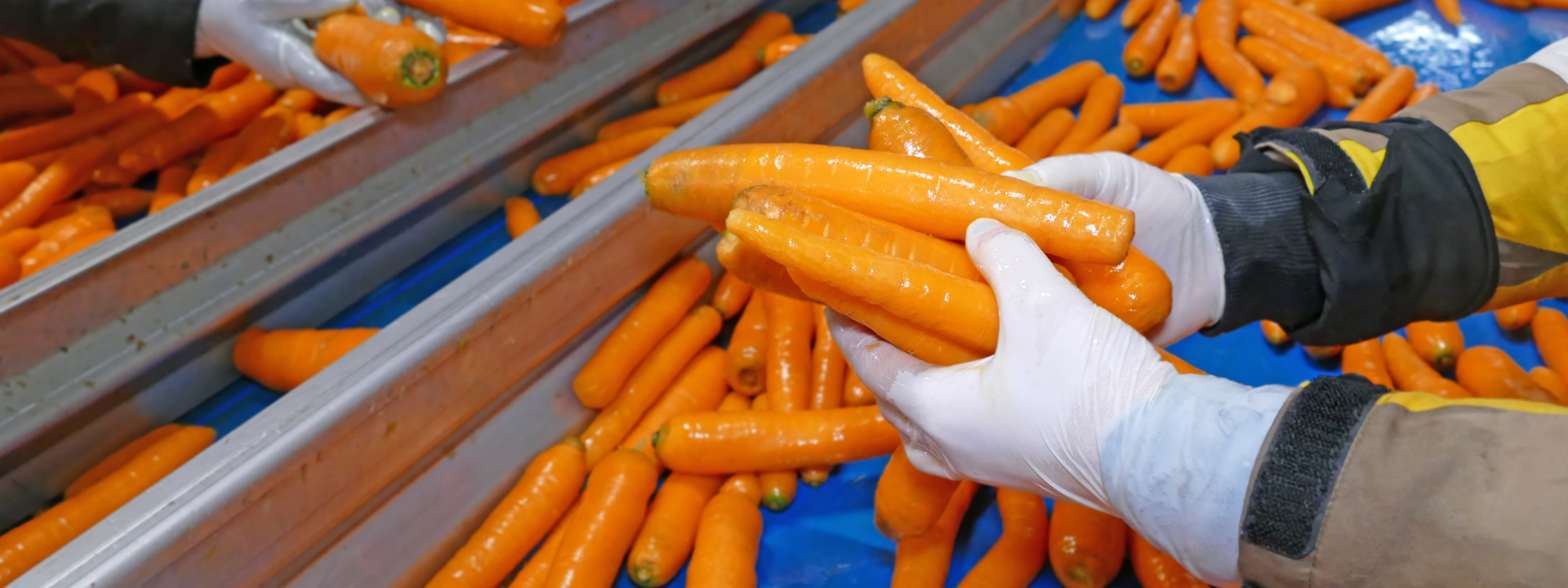 food-processing-and-trade