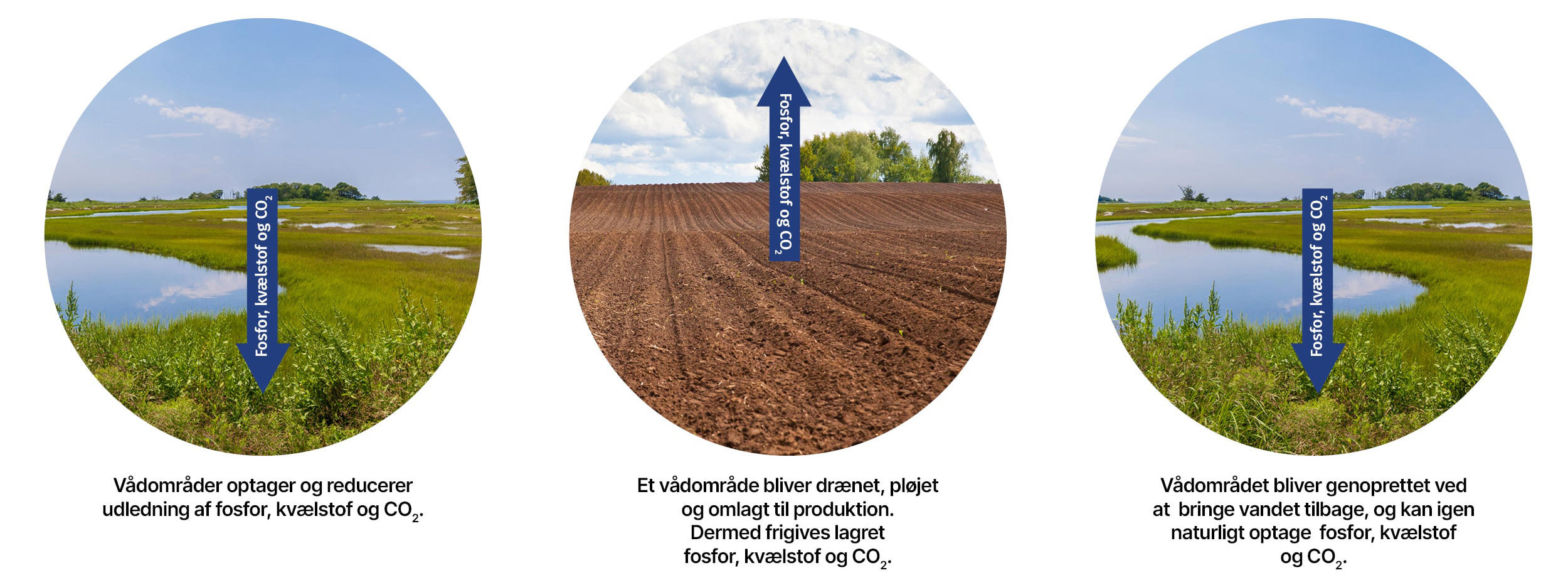 Bicarbonat-Dithionit-udrystning (BD)
