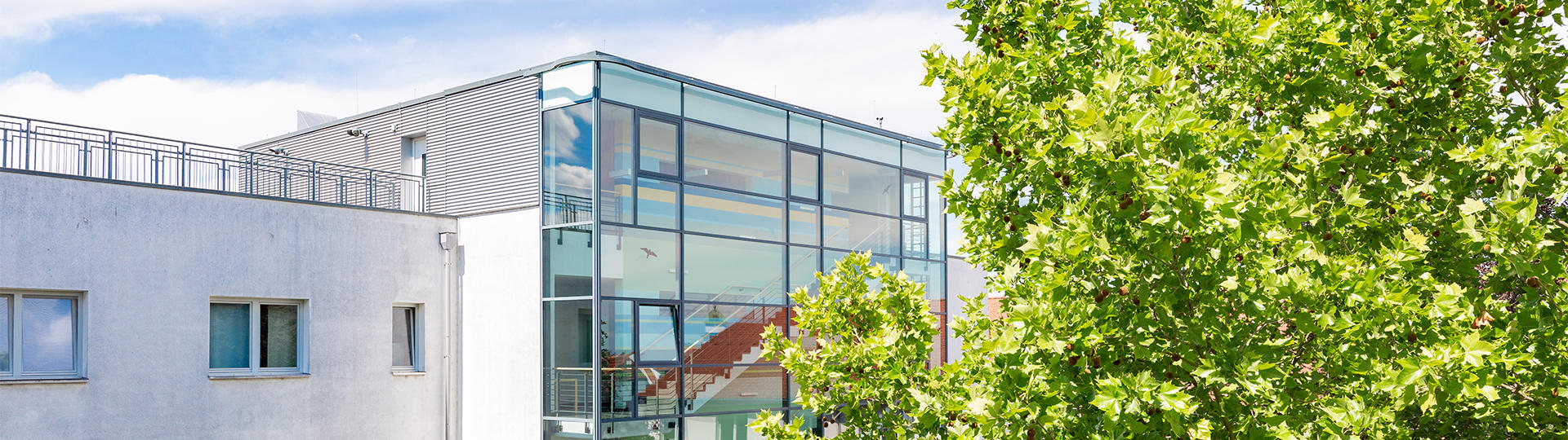 smk_web_header_1920x540px_start_2