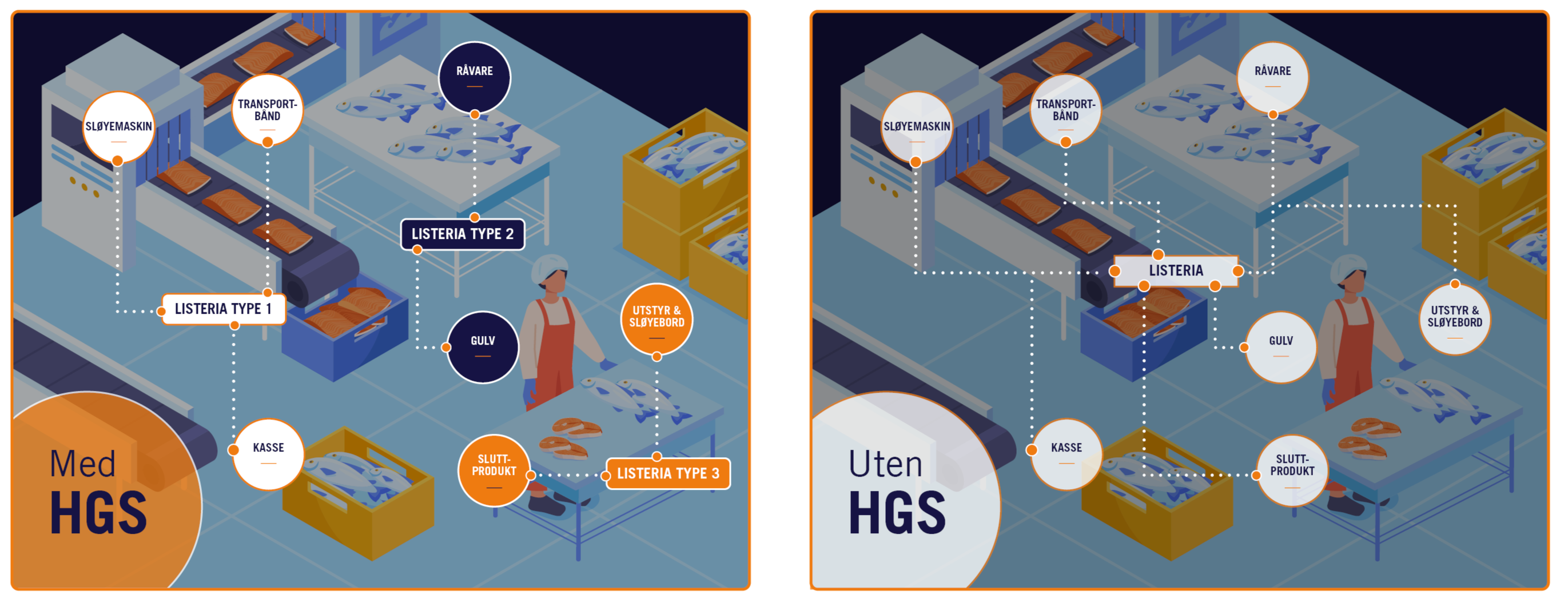 hgs-listeria_web