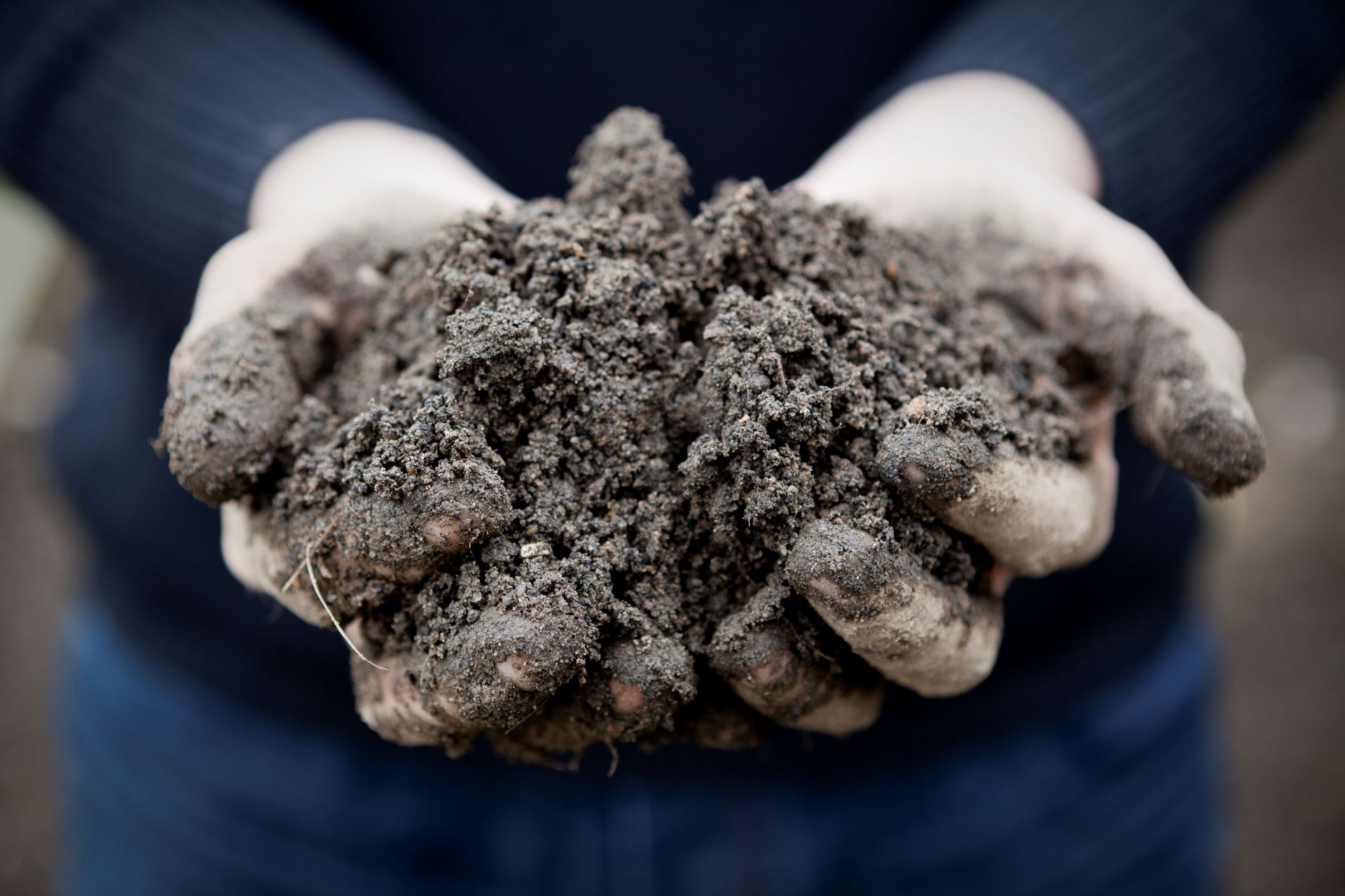 gardeners-hands-holding-soil_5616x3744px_2