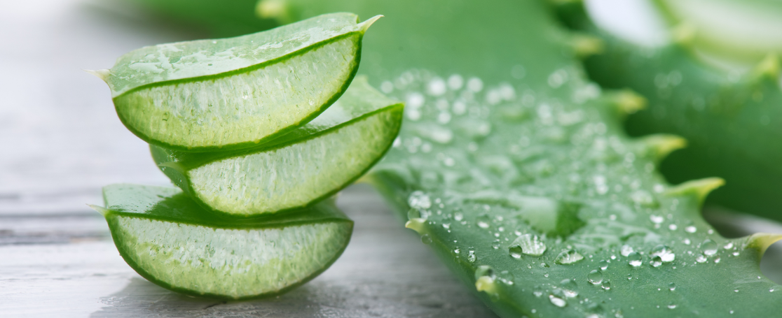aloevera_banner_1116x455px