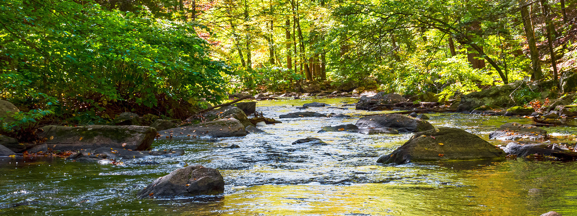 surface-water-banner