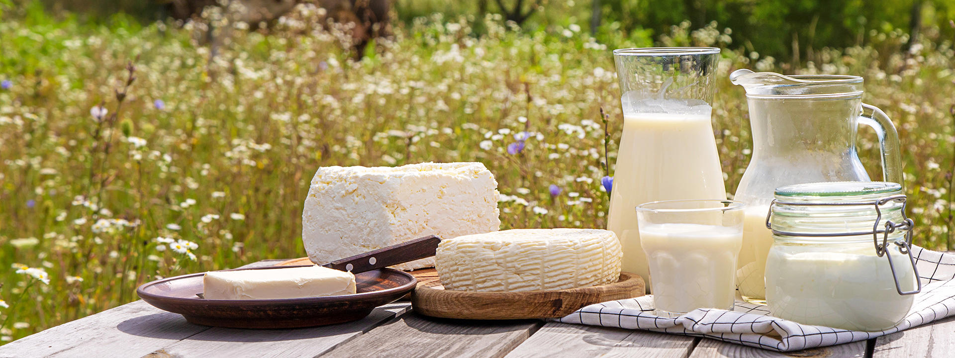 milk-and-dairy_banner_1920x720px
