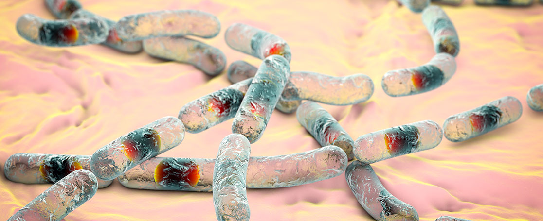 bacillus-cereus_banner_1116x455px
