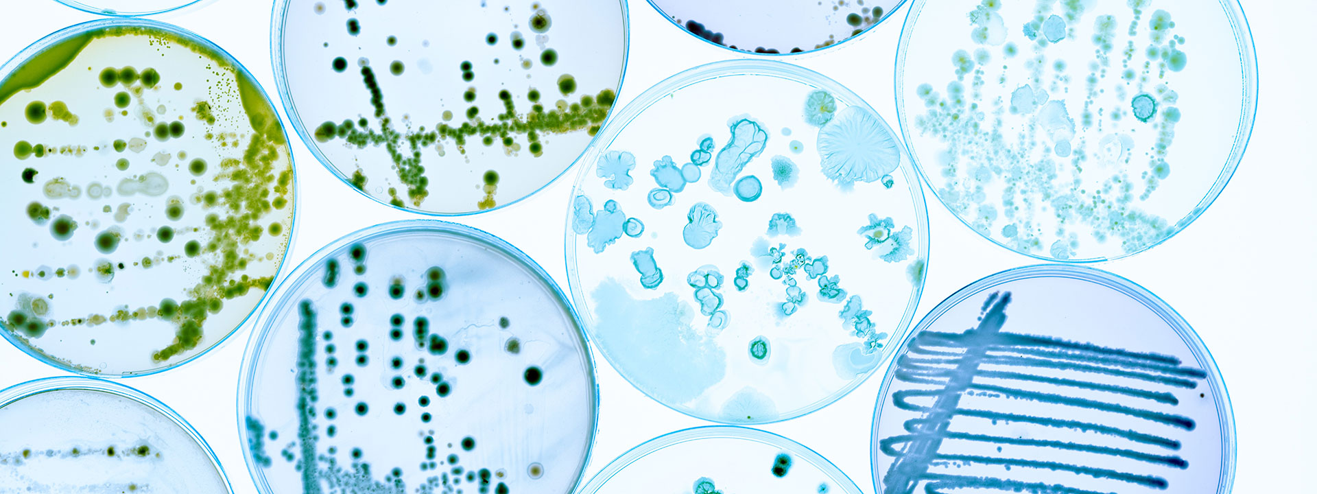 microbiology_banner_1920x720px