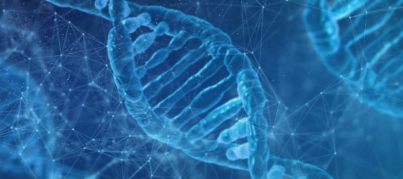agro-dna-blue-800x357 (1)