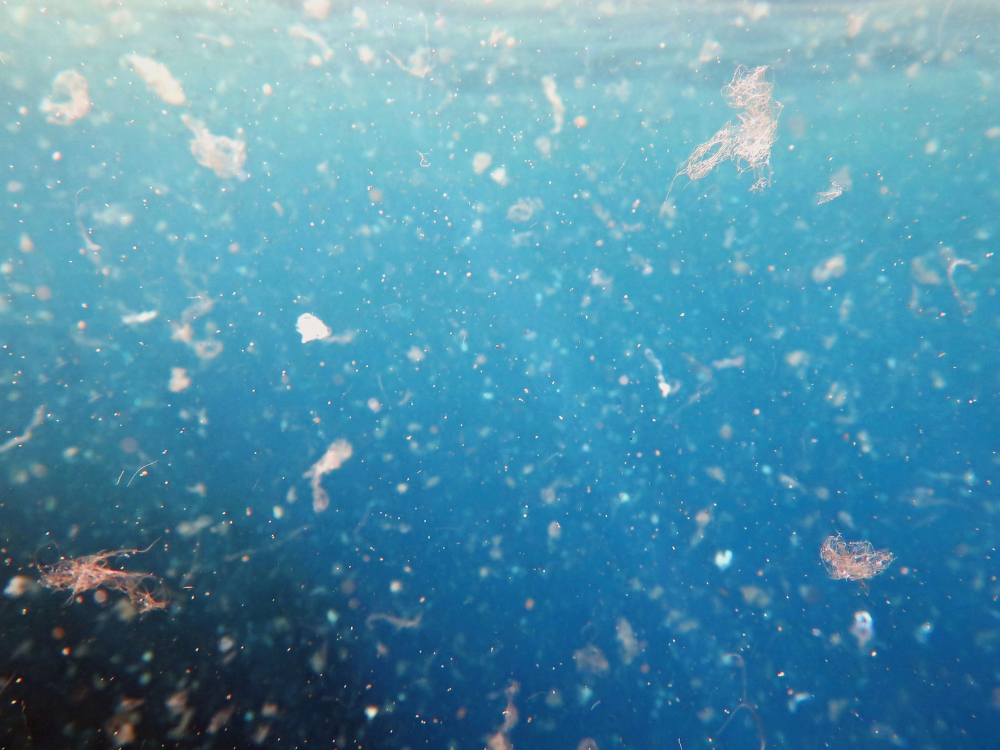 mikroplastik-02
