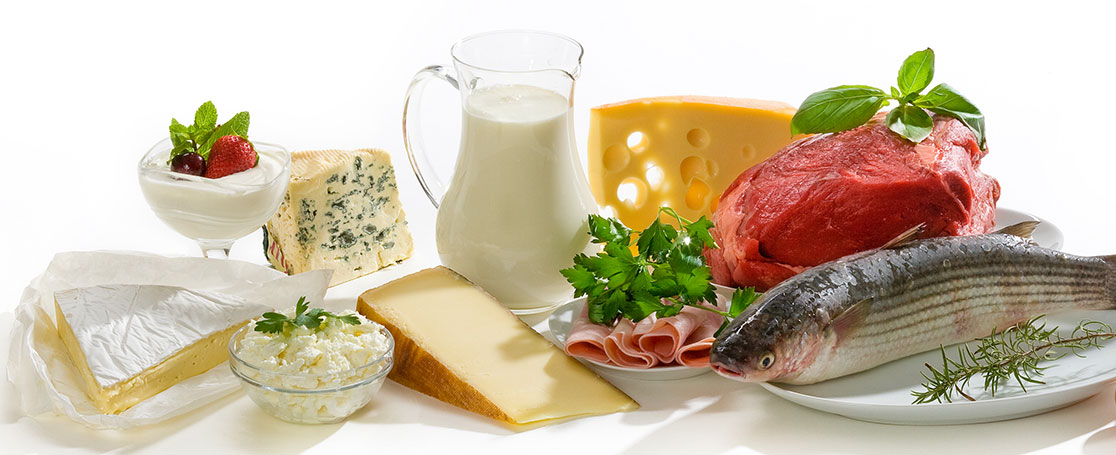 protein-food_newsbanner_1116x455px