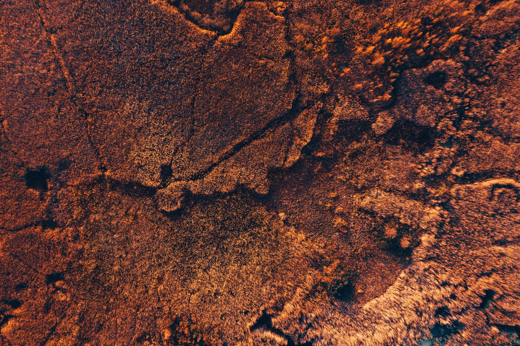 sediment-1