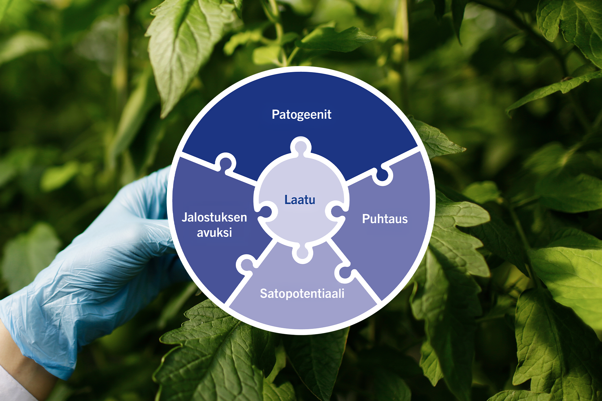 crop-health_palapeli_fi_1920_1280_1