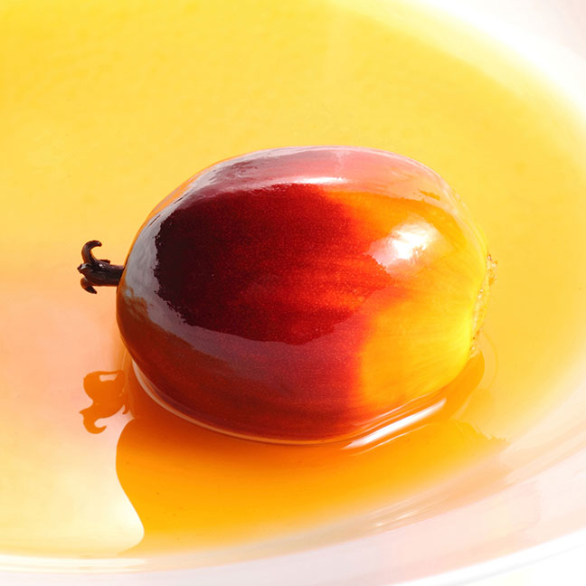 palm-fruit-and-cooking-oil_648x648px