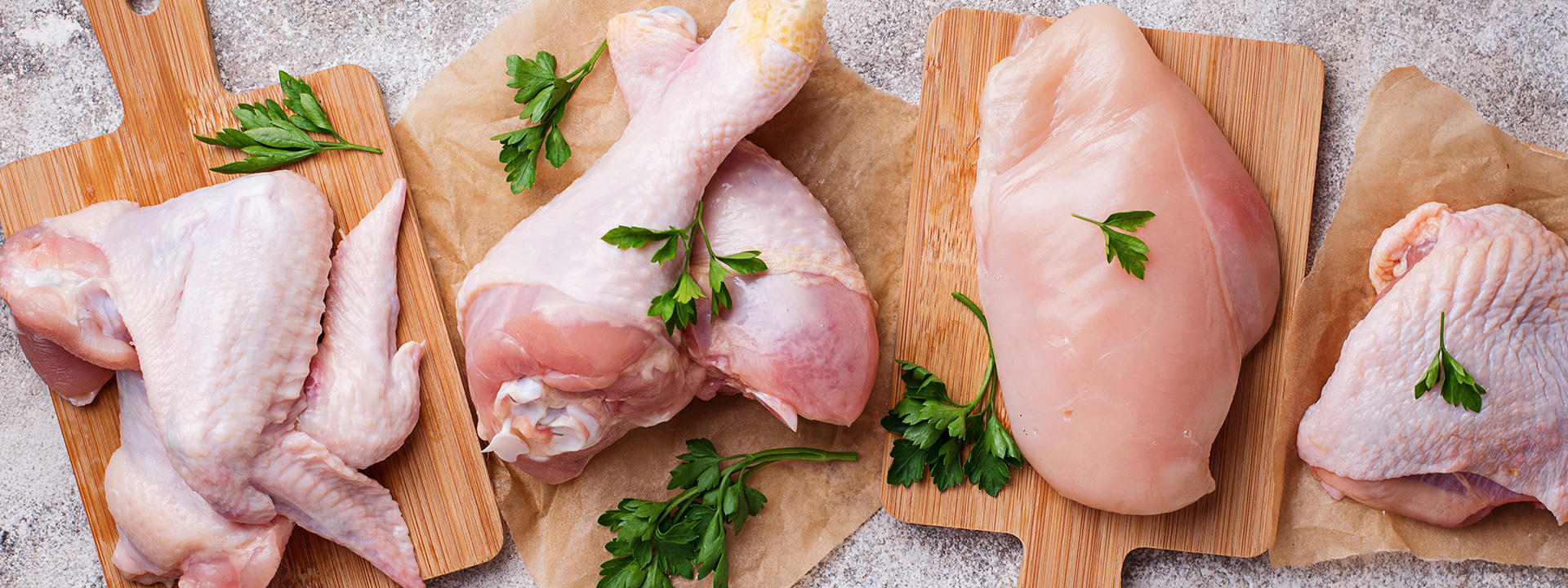 mibi_campylobacter_poultry_1920x720px