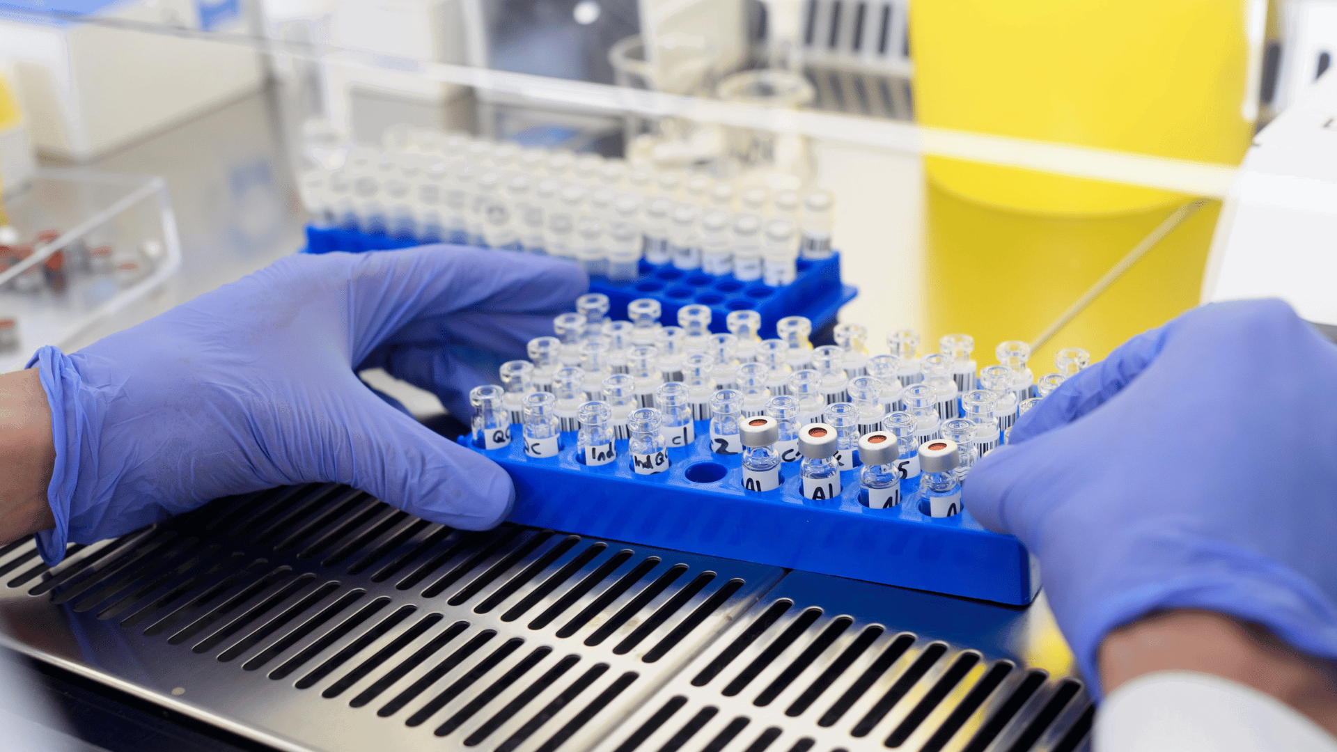 tox-forensic-offerings