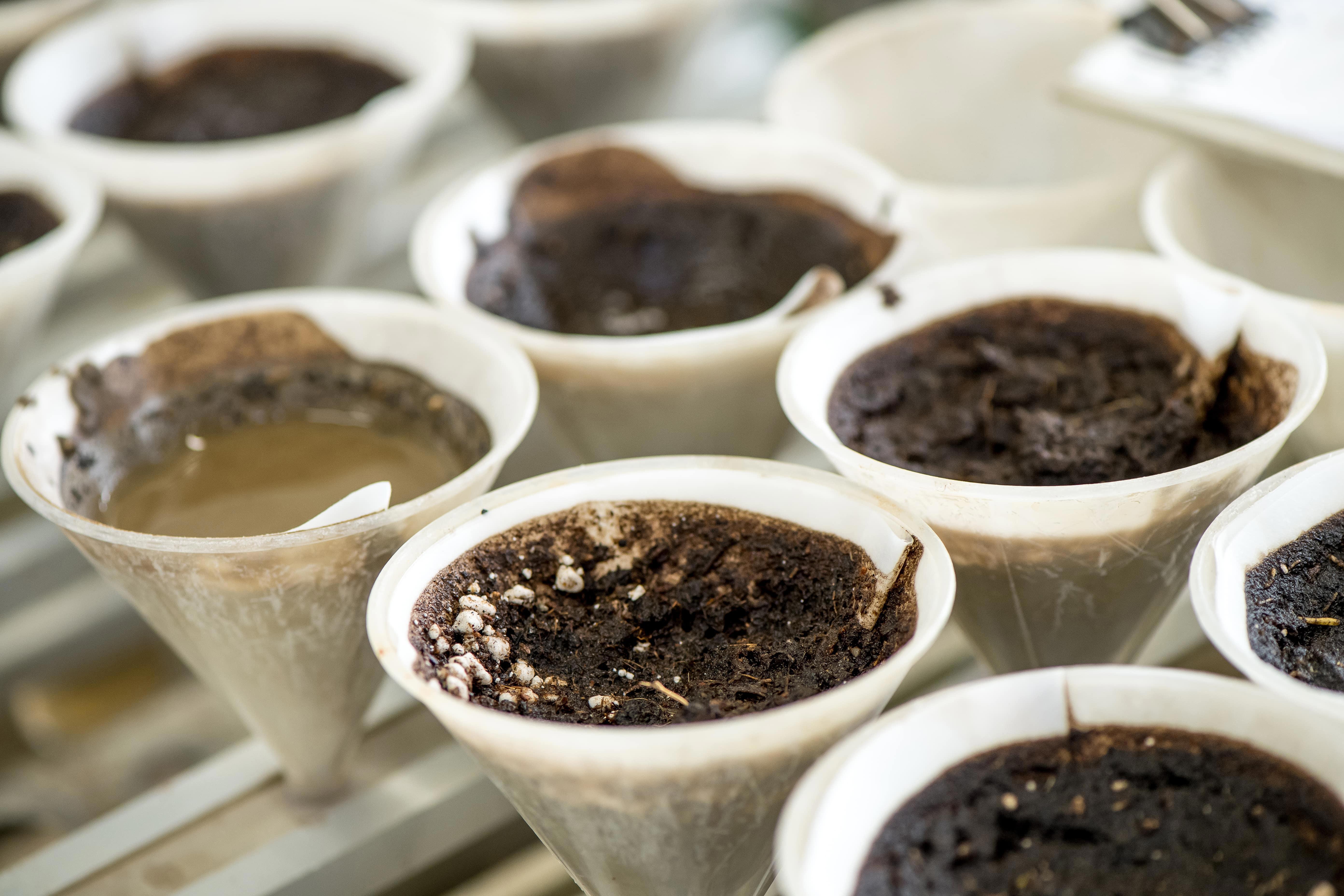 agro-lab-soil-sample-preparing