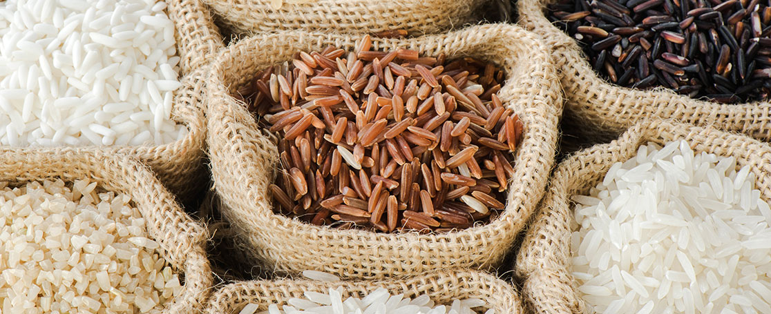 rice_1116x455px