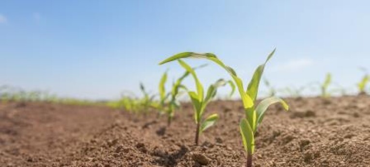 free-soil-health-workshop-on-the-30th-of-october-join-to-learn