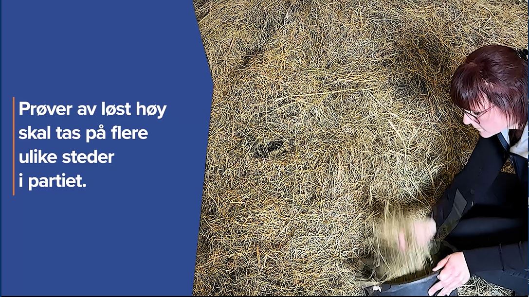 Prøvetaking av løst høy video