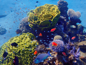 related-services-ecotox-biodegra