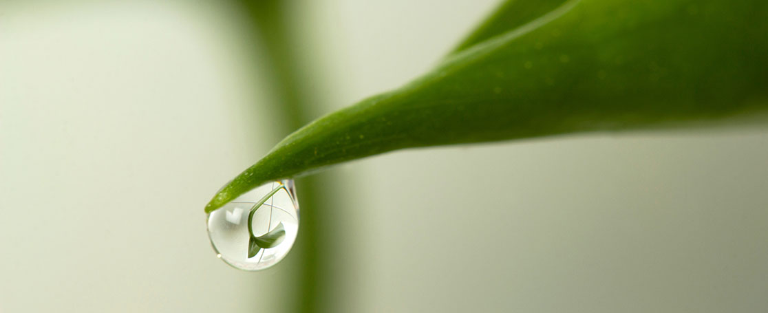 umweltmanagement_newsbanner_1116x455px