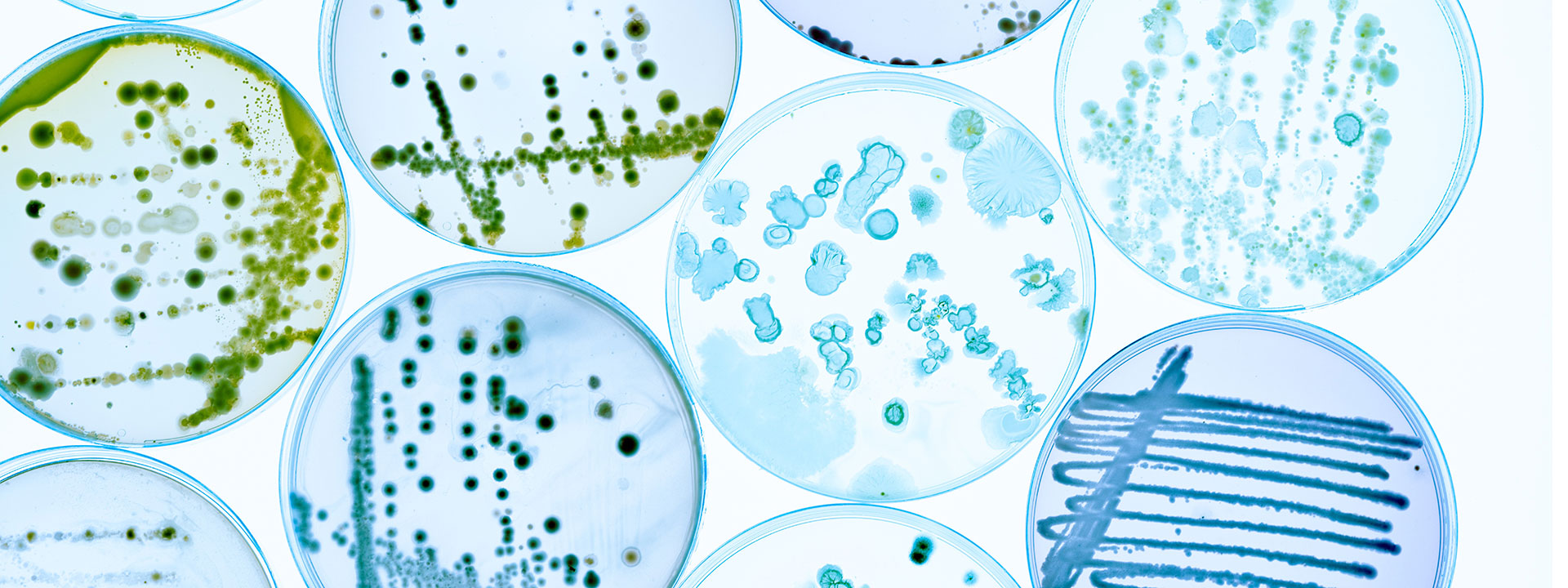 microbiology_banner_1920x720px