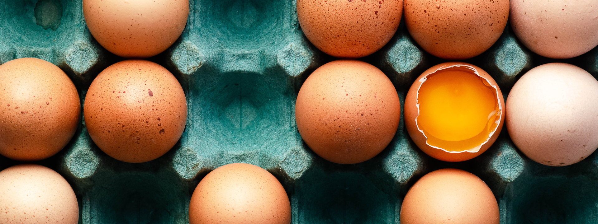 mibi_salmonella_eggs_1920x720px