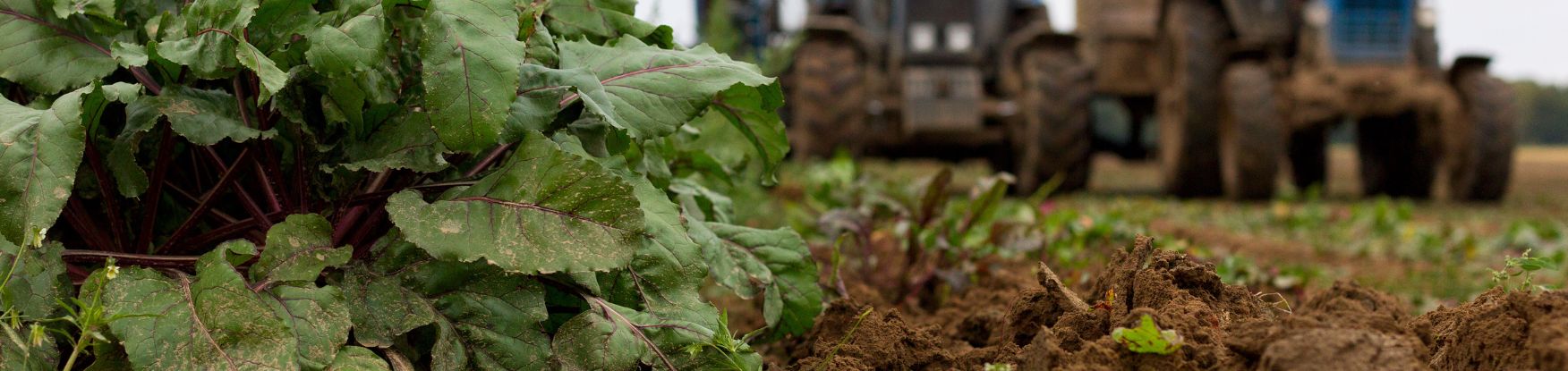 eurofins-agro-uudistava-viljely