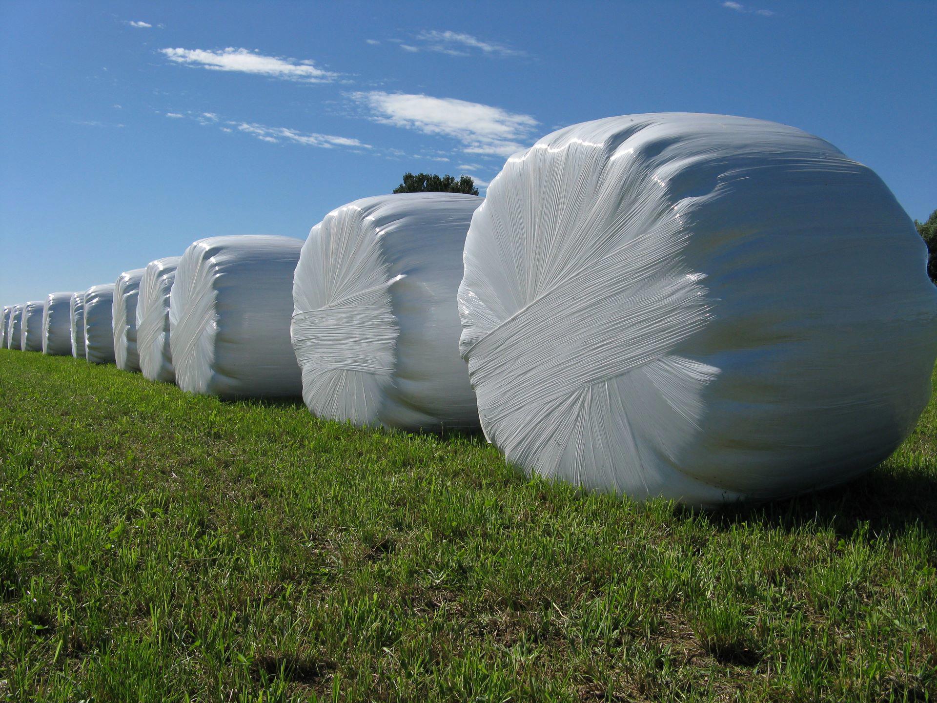 bales-of-hay-packed-with-shrink-wrap_3264-x-2448-px_2