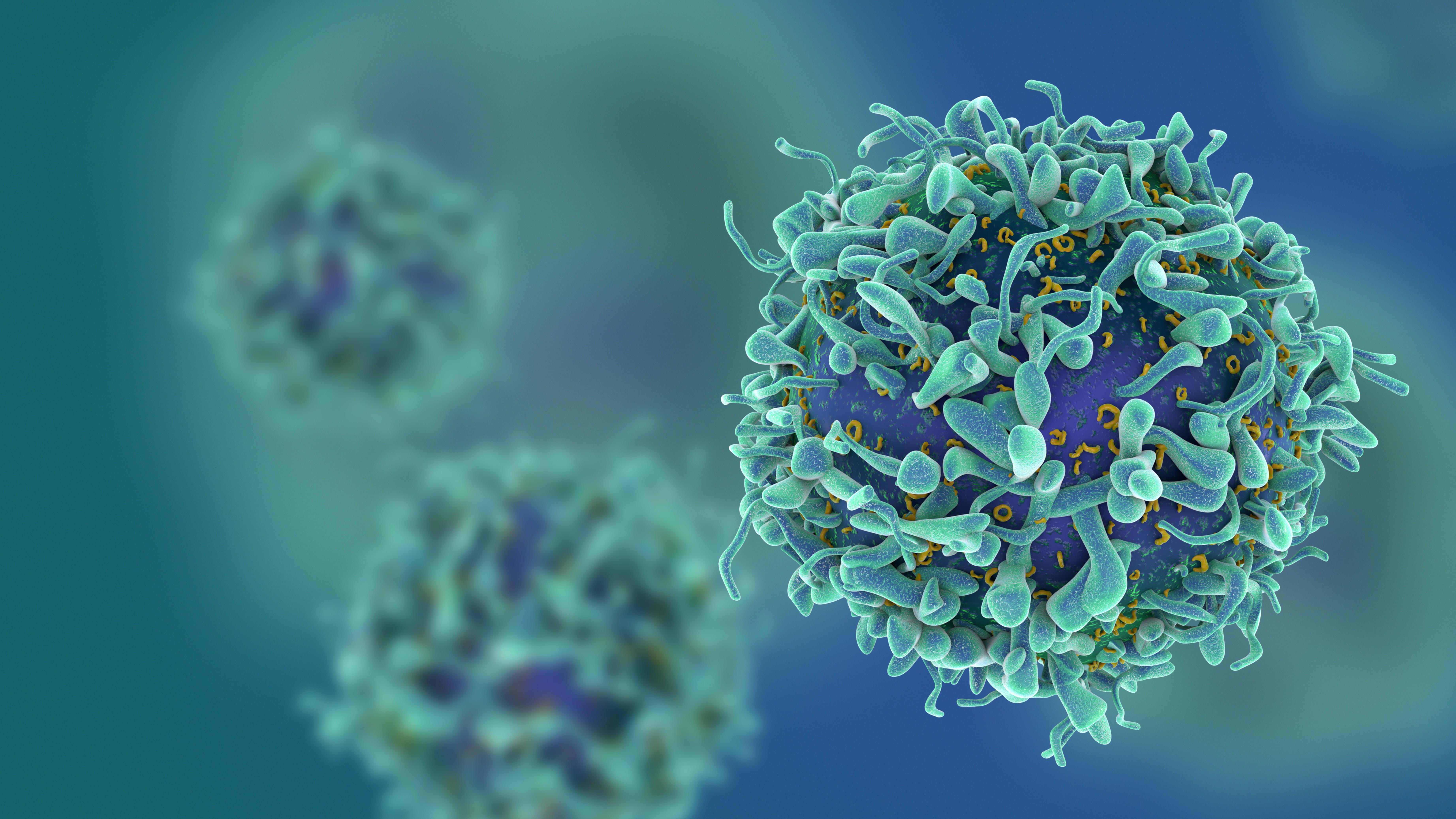 A close-up, detailed 3D rendering of a blue and green T-cell, a type of white blood cell, with a textured surface covered in protrusions. The background is blurred with additional T-cells visible in the distance.