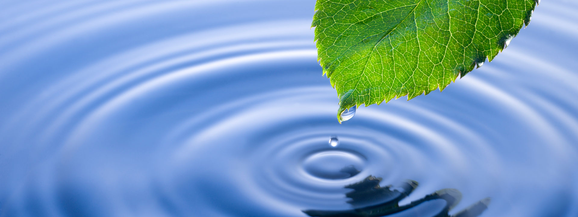 pop_banner_1920x720
