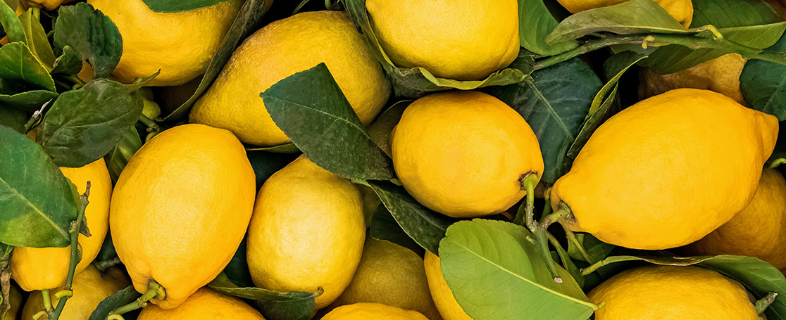 lemons_newsbanner_1116x455px