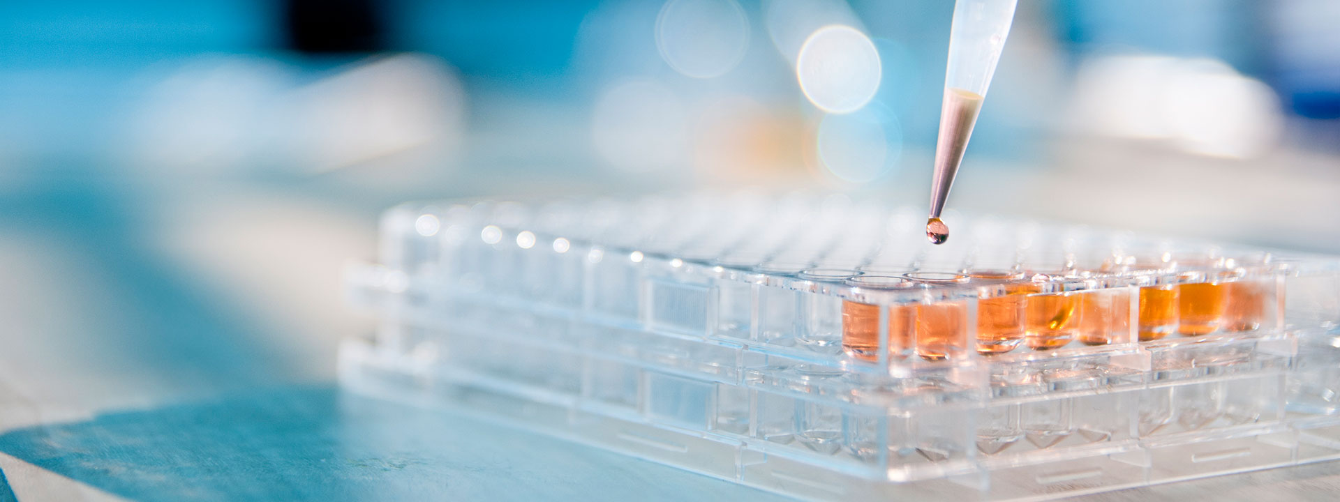 Lebensmittelanalyse - Food laboratory analysis