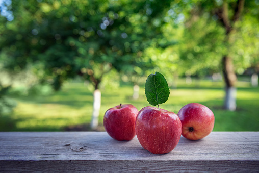 istockphoto-1403265253-170667a