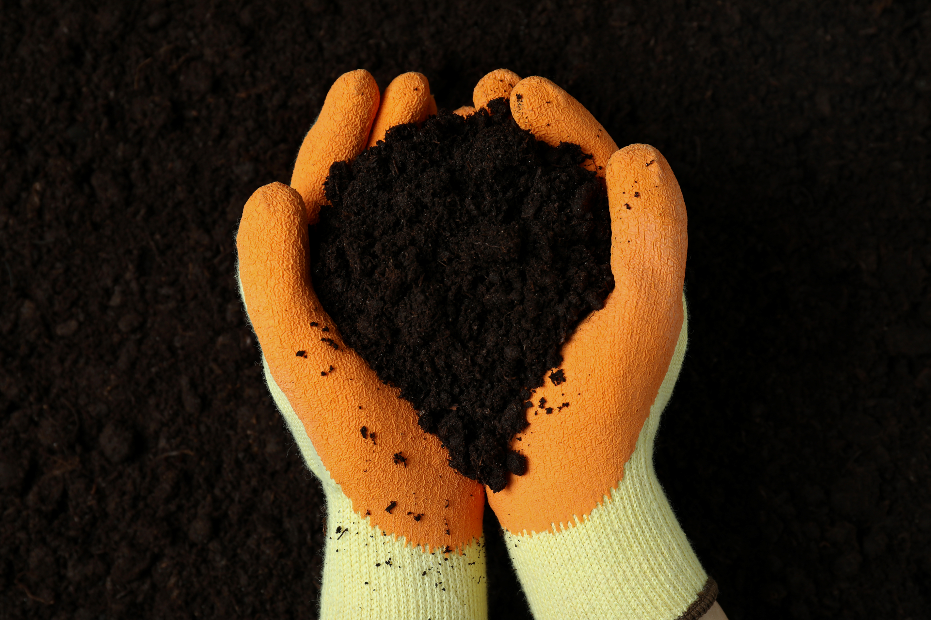 soil-held-in-hands-with-gardening-gloves-2026-01-09-07-05-26-utc