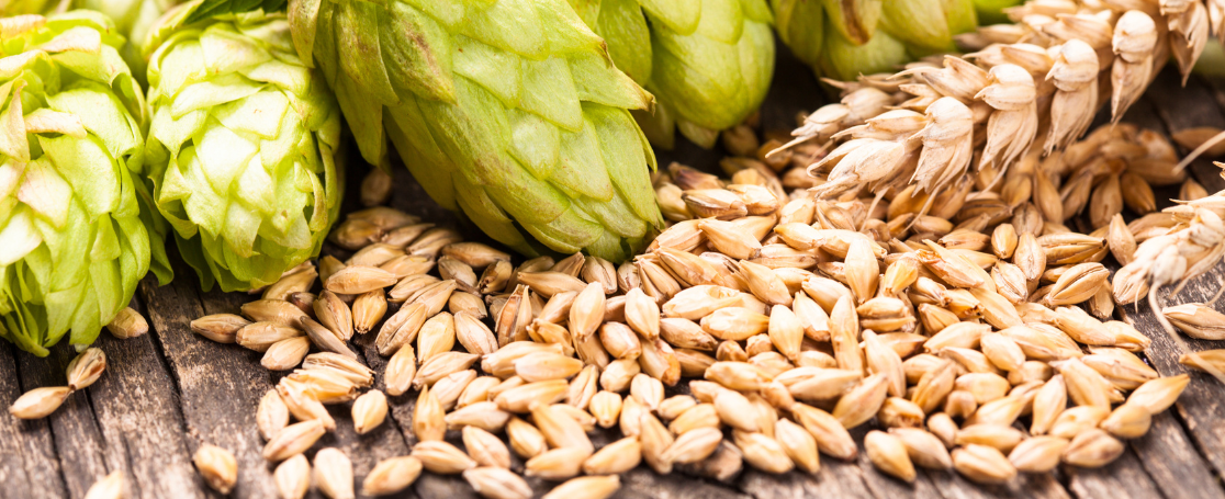 hop_banner-1116x455px