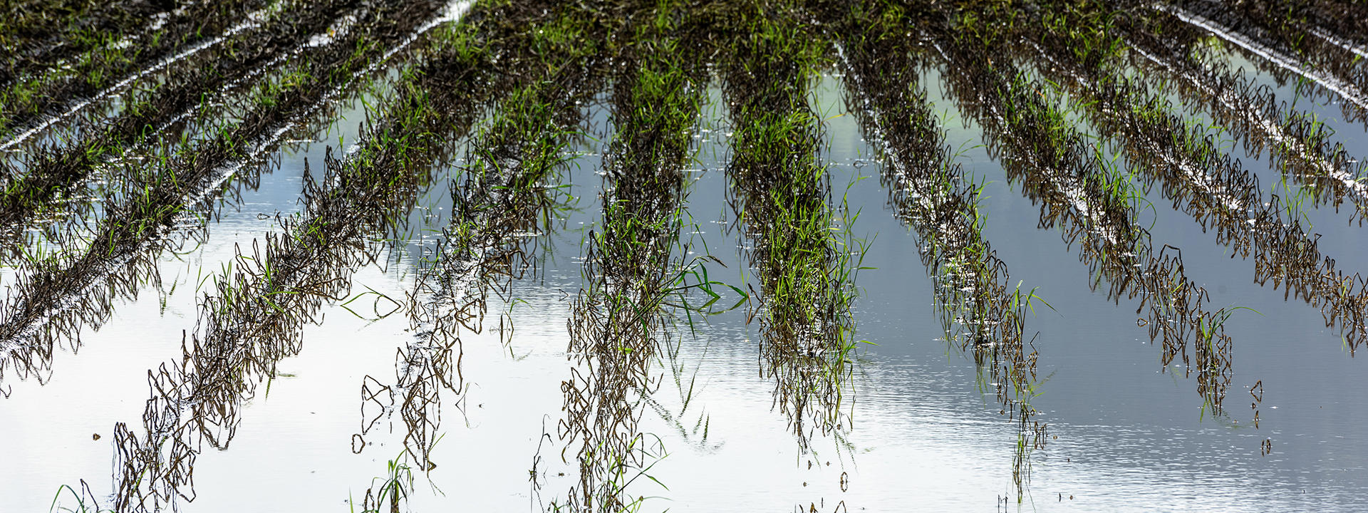 groundwater-banner