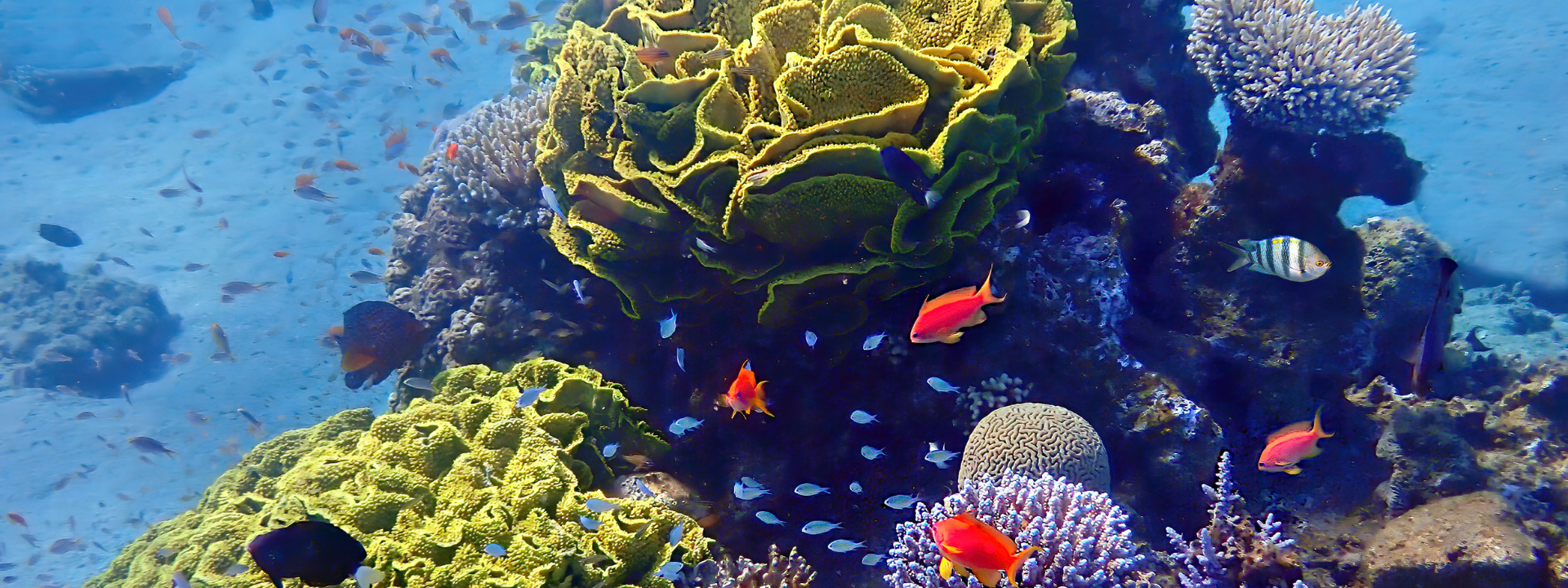 banner-website-ecotox-biodegra