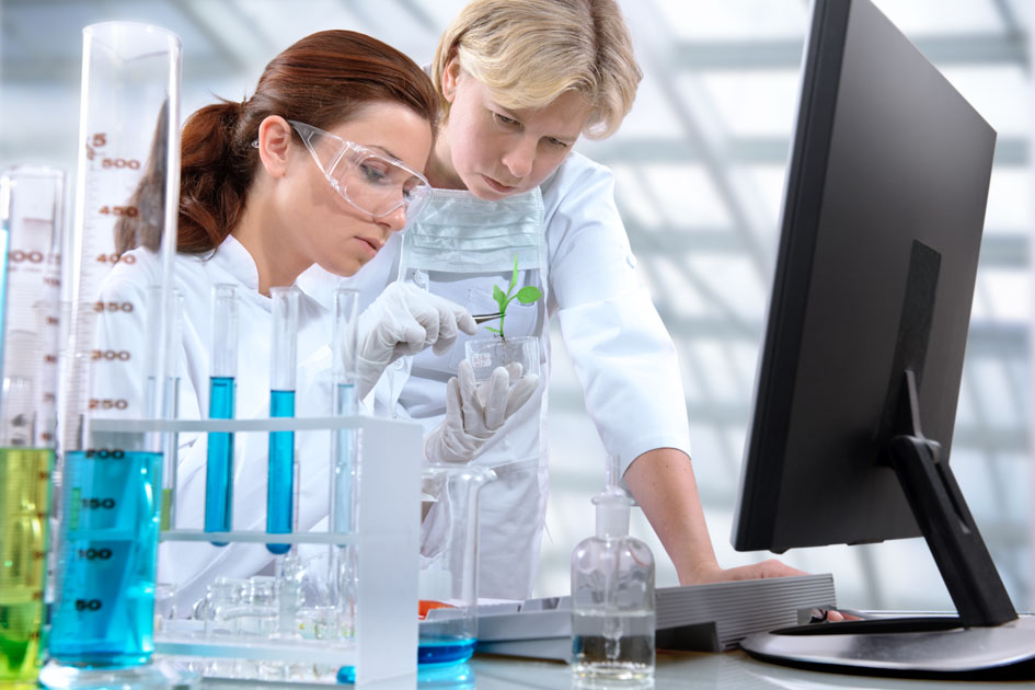 labor-vizsgalat-noveny1