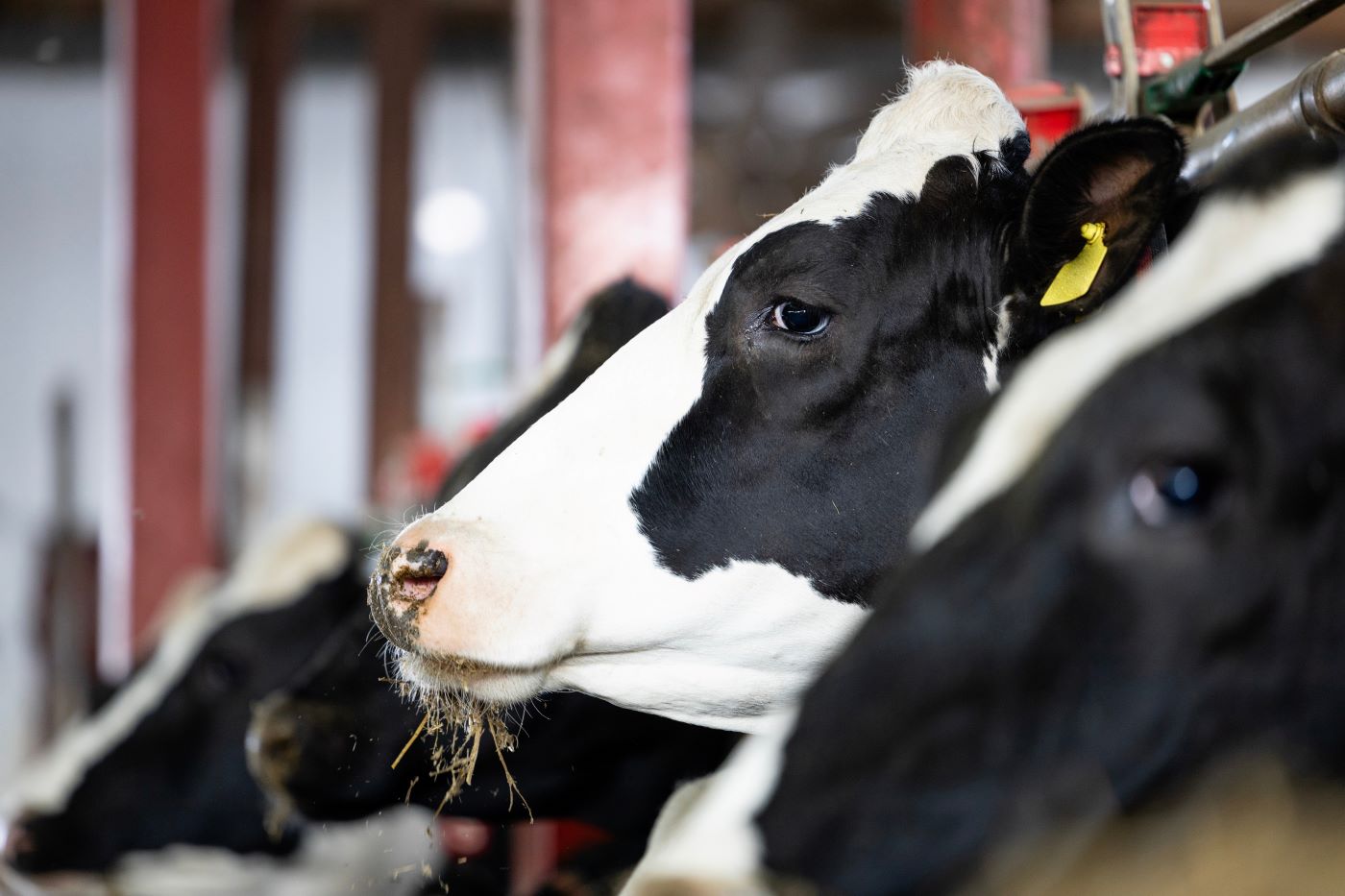 ku_naerbilde_eurofins_agro