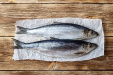 atlantic-herring