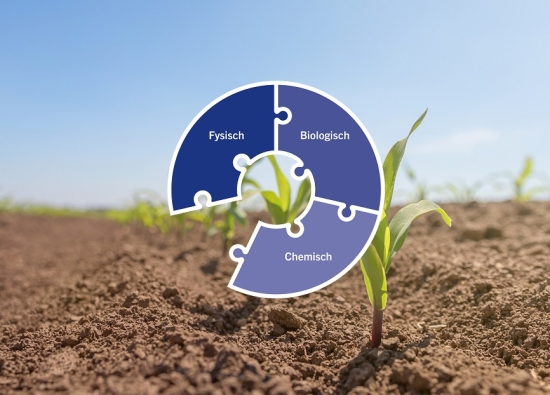 agro-fact-sheet-puzzle-soil-young-plant