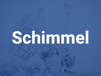 schimmel