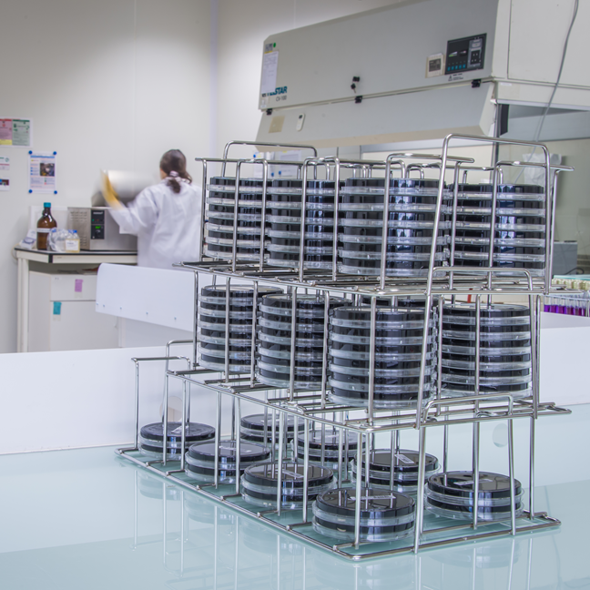 microbiology-laboratory_648
