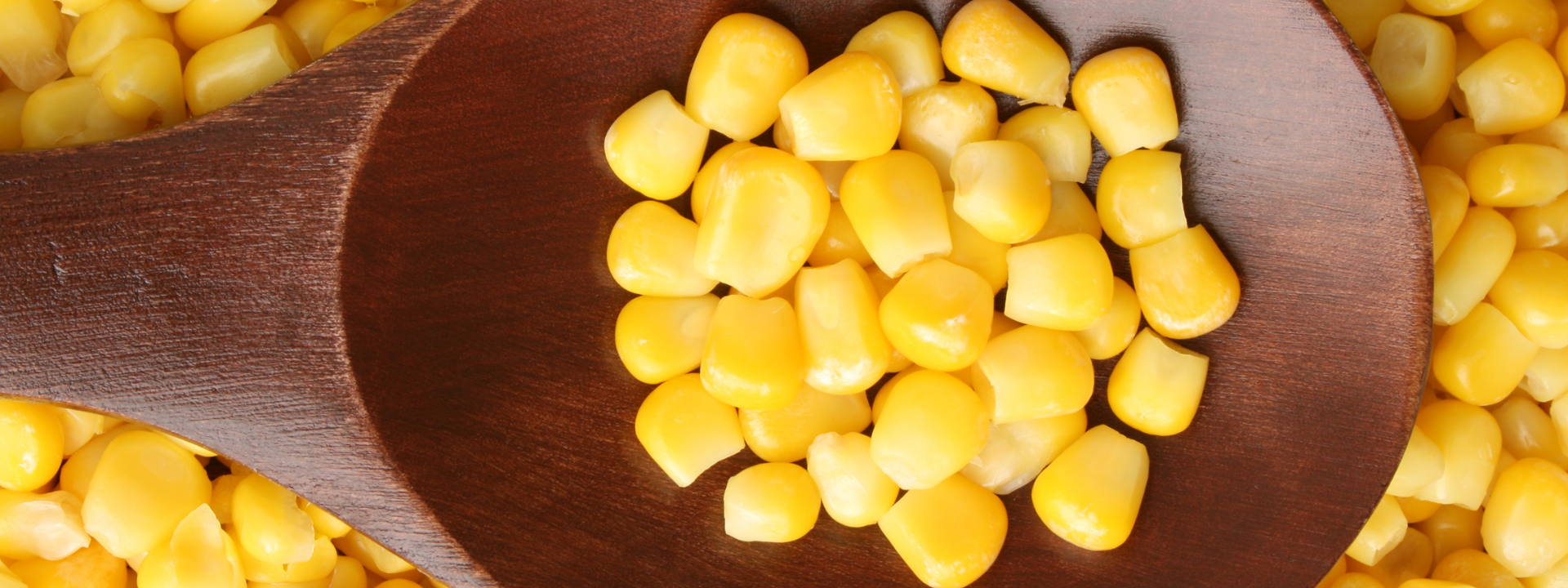 news-aflatoxine-b1