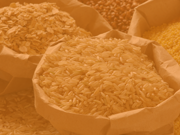 understanding-mycotoxins-in-food-and-feed