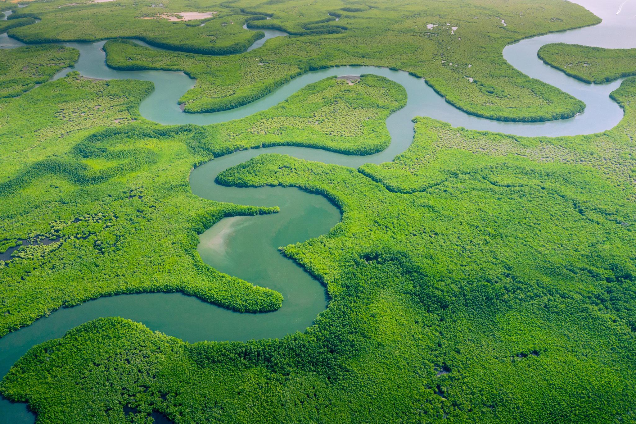 aerial-view-of-amazon-rainforest-in-brazil-south-america-green-forest-birds-eye-view_8196-x-5460-px2