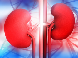 renal-accordion-tile