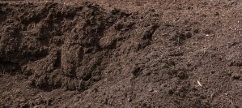 agro_compost-close-up